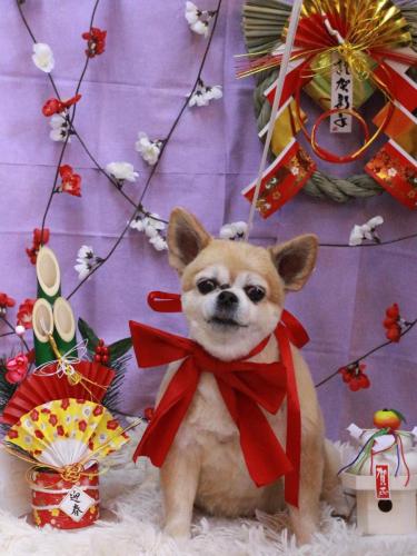 20230113ゆずちゃん